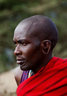 Masai warrior