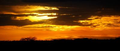 sun coming up over the Serengeti plain