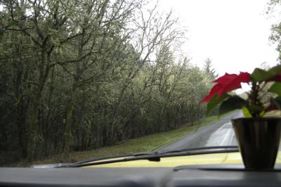 On the way into Wilderness Safari (Winston, Oregon)