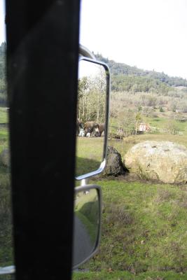 An incongruous site in Oregon