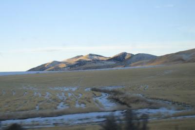 Snow in between the rows of grain