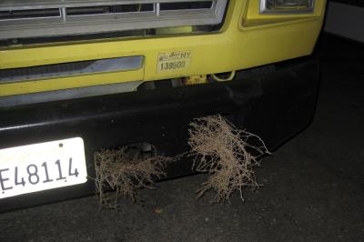The wind sent tumbleweeds hurling!