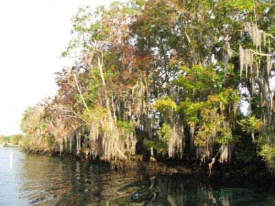 Amazing Florida scenery