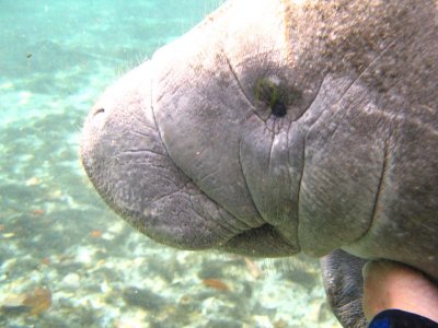And they love to let you scratch under the chin