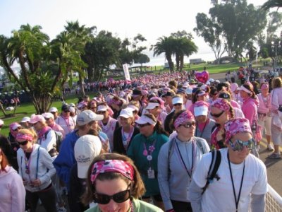 There are a LOT of walkers!