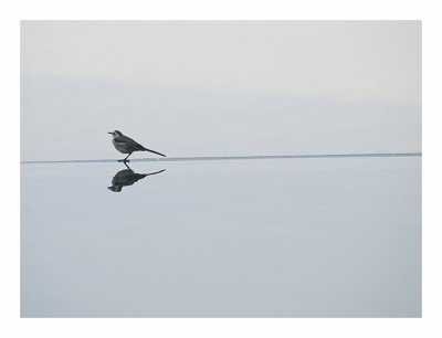Simple World