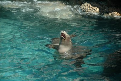 Sea World