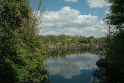Animal Kingdom