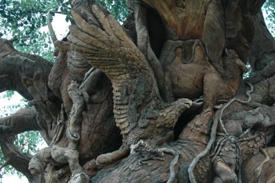 Animal Kingdom