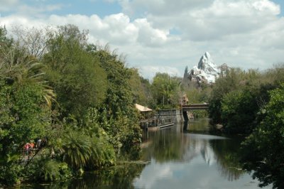 Animal Kingdom