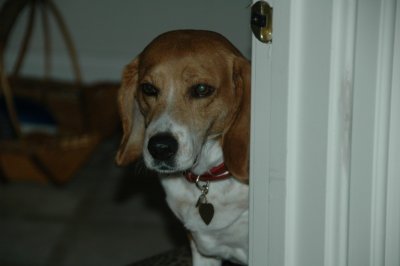 Birthday 2009 094.JPG