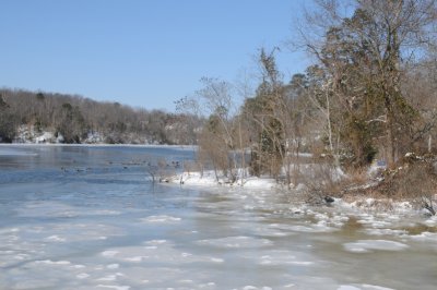 Williamsburg Landing