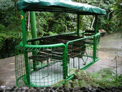Rainforest Gondola