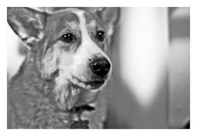 Kenai