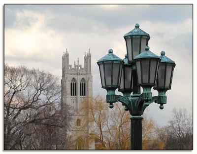g3/06/43706/3/56505024.5LampVigil.jpg