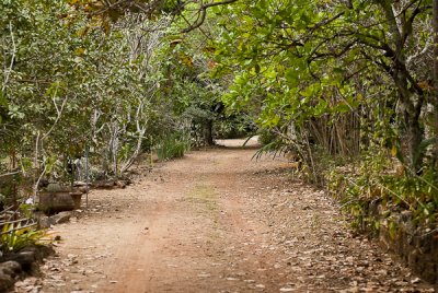 caminho