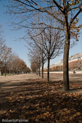 Jardin des Tuileries - 3