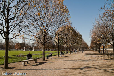 Jardin des Tuileries - 4