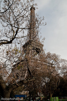 Torre Eiffel - 6