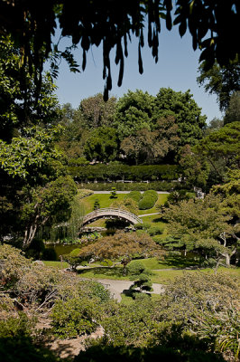 The Huntington Botanical Gardens-28