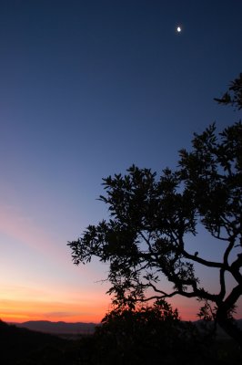 cerrado-2