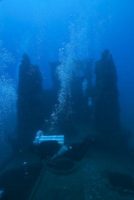 Lupus-2