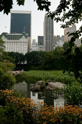 Central Park 18