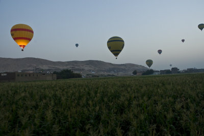 bales-4