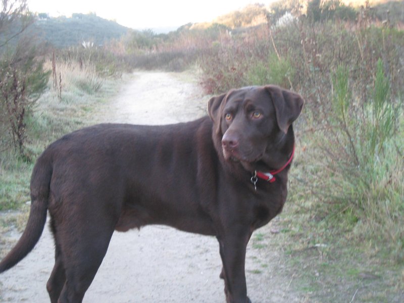 Luke Hiking