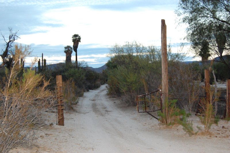 Open Gate Dirt Road
