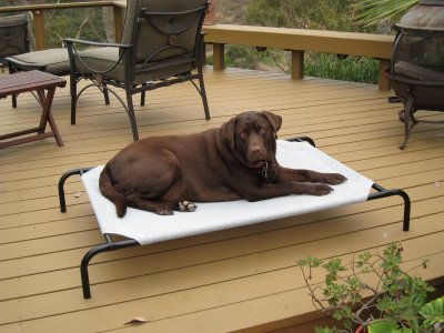 Luke relaxing on new deck lounge