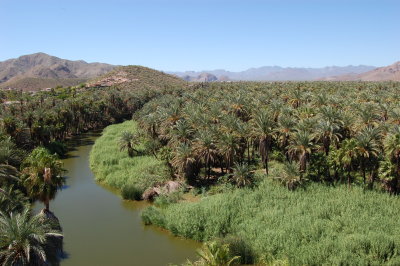 Mulege Oasis