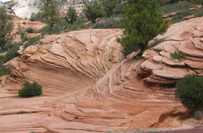 Zion National Park - Beautiful Colors