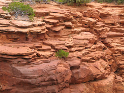 Zion National Park - MORE Beautiful Colors and years of Erosion