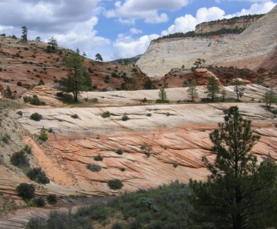 Zion National Park