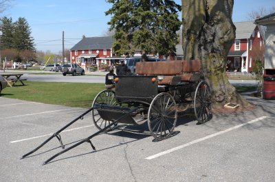 The usual transportatin vehicle among the Amish. 