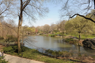 Central Park.