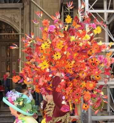 FS1_7872.JPG
