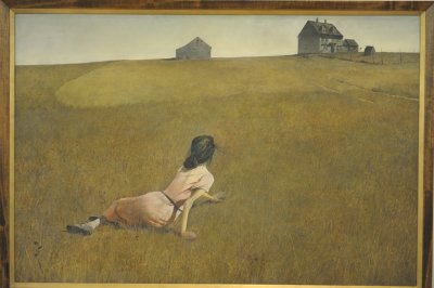 I love this one. For me it's the landmak of the MOMA: Andrew Wyeth's Christina's Works) (check http://www.moma.org/collection/object.php?object_id=78455 ).