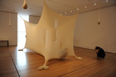 A piece of art that one can penetrate. One at a time. The photograph was the boyfriend of the visitor.
