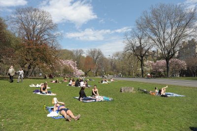 Going through Central Park to rejoin the other museum.