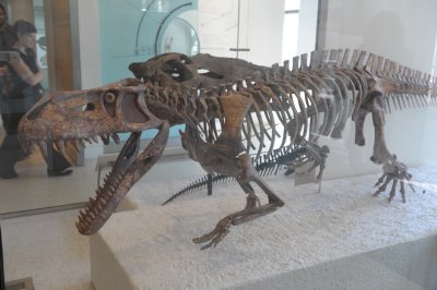 FS1_8154.JPG