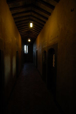 DSC_1520.JPG