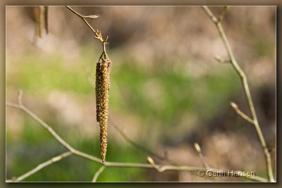 _01323-web_hf.jpg