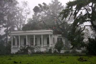 Gallery of September 2008