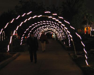 Celebration in the Oaks_lighted walkway