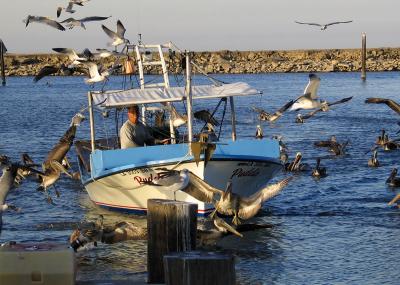Bringing in the Catch