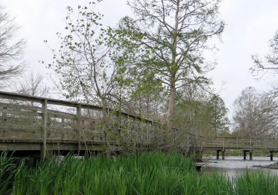 Lafreniere Park - Closed Due to Katrina