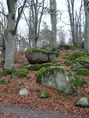 Stones and moss