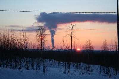 The finnish forests
